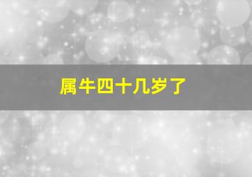 属牛四十几岁了