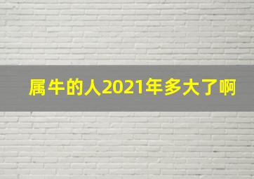 属牛的人2021年多大了啊