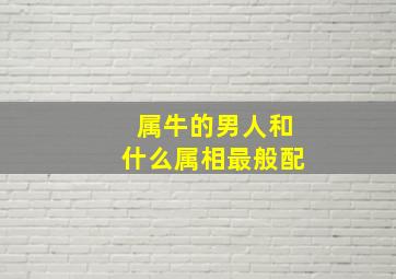 属牛的男人和什么属相最般配