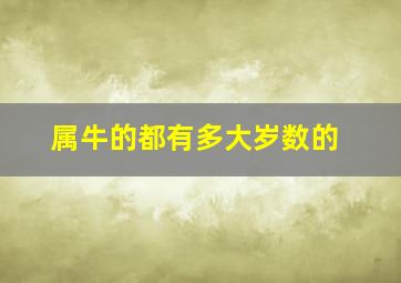 属牛的都有多大岁数的