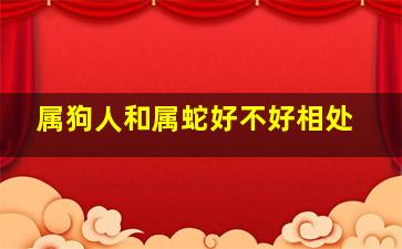 属狗人和属蛇好不好相处