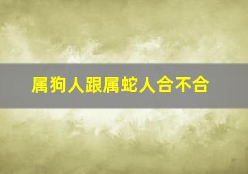 属狗人跟属蛇人合不合