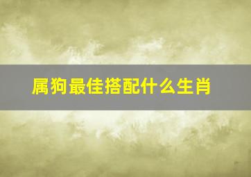 属狗最佳搭配什么生肖