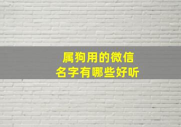 属狗用的微信名字有哪些好听