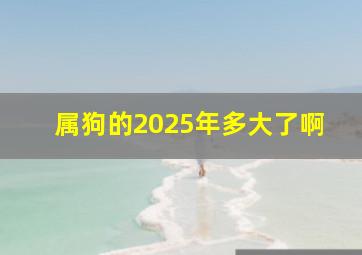 属狗的2025年多大了啊