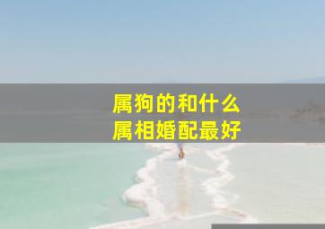 属狗的和什么属相婚配最好