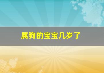 属狗的宝宝几岁了