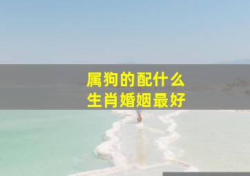 属狗的配什么生肖婚姻最好