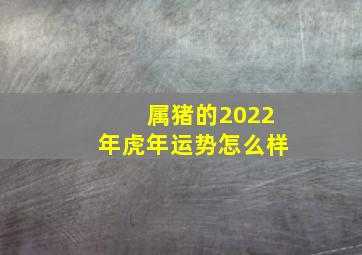 属猪的2022年虎年运势怎么样