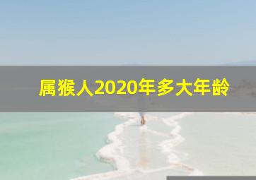 属猴人2020年多大年龄