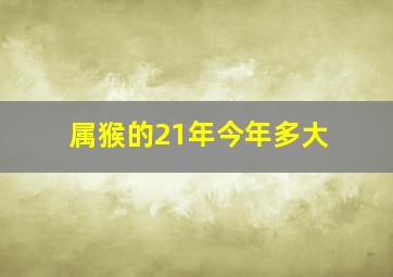 属猴的21年今年多大