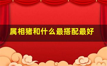 属相猪和什么最搭配最好