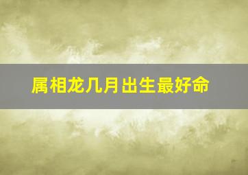 属相龙几月出生最好命