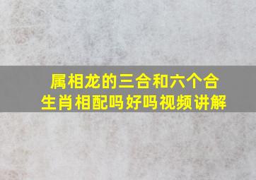 属相龙的三合和六个合生肖相配吗好吗视频讲解