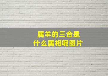 属羊的三合是什么属相呢图片