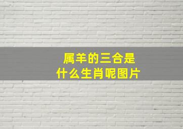 属羊的三合是什么生肖呢图片