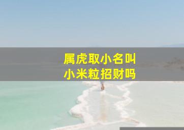 属虎取小名叫小米粒招财吗