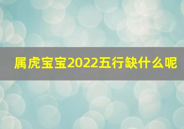 属虎宝宝2022五行缺什么呢