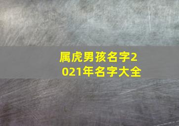 属虎男孩名字2021年名字大全