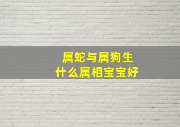 属蛇与属狗生什么属相宝宝好