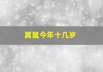 属鼠今年十几岁