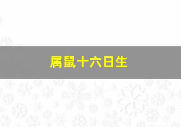 属鼠十六日生