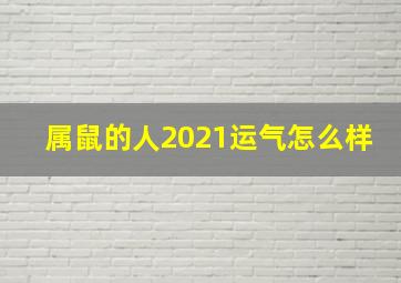 属鼠的人2021运气怎么样