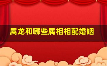 属龙和哪些属相相配婚姻