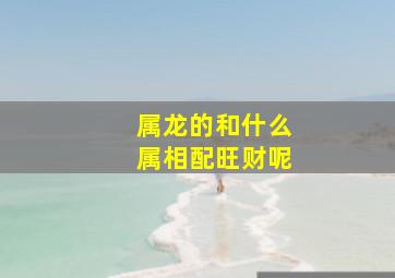 属龙的和什么属相配旺财呢