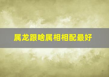 属龙跟啥属相相配最好