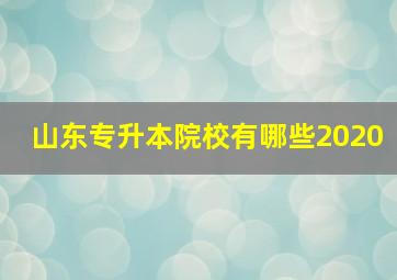 山东专升本院校有哪些2020