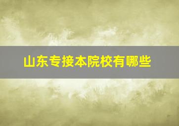 山东专接本院校有哪些