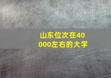 山东位次在40000左右的大学