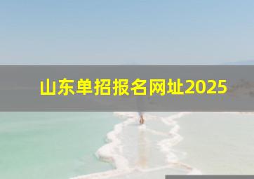 山东单招报名网址2025