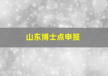 山东博士点申报