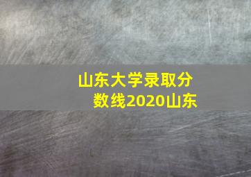 山东大学录取分数线2020山东