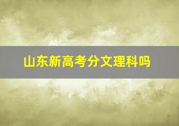 山东新高考分文理科吗