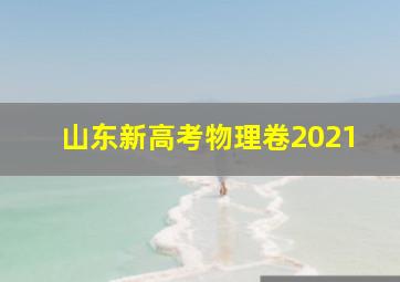 山东新高考物理卷2021