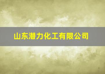 山东潜力化工有限公司