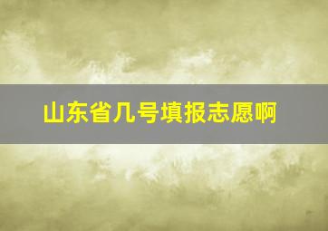 山东省几号填报志愿啊