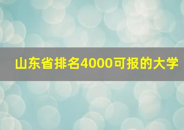 山东省排名4000可报的大学