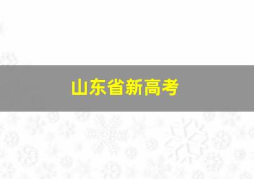 山东省新高考