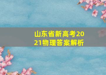 山东省新高考2021物理答案解析