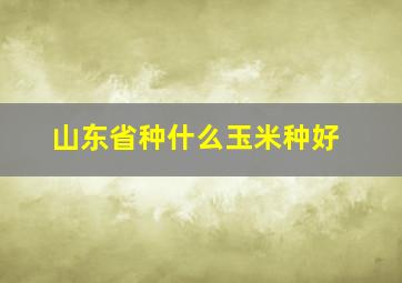 山东省种什么玉米种好