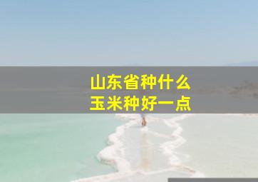 山东省种什么玉米种好一点