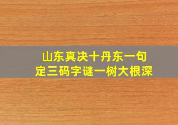 山东真决十丹东一句定三码字谜一树大根深