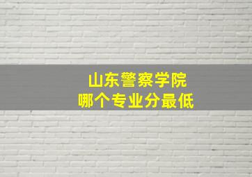 山东警察学院哪个专业分最低