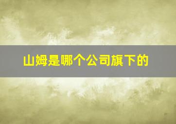 山姆是哪个公司旗下的