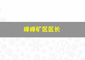 峰峰矿区区长