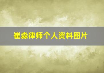 崔淼律师个人资料图片